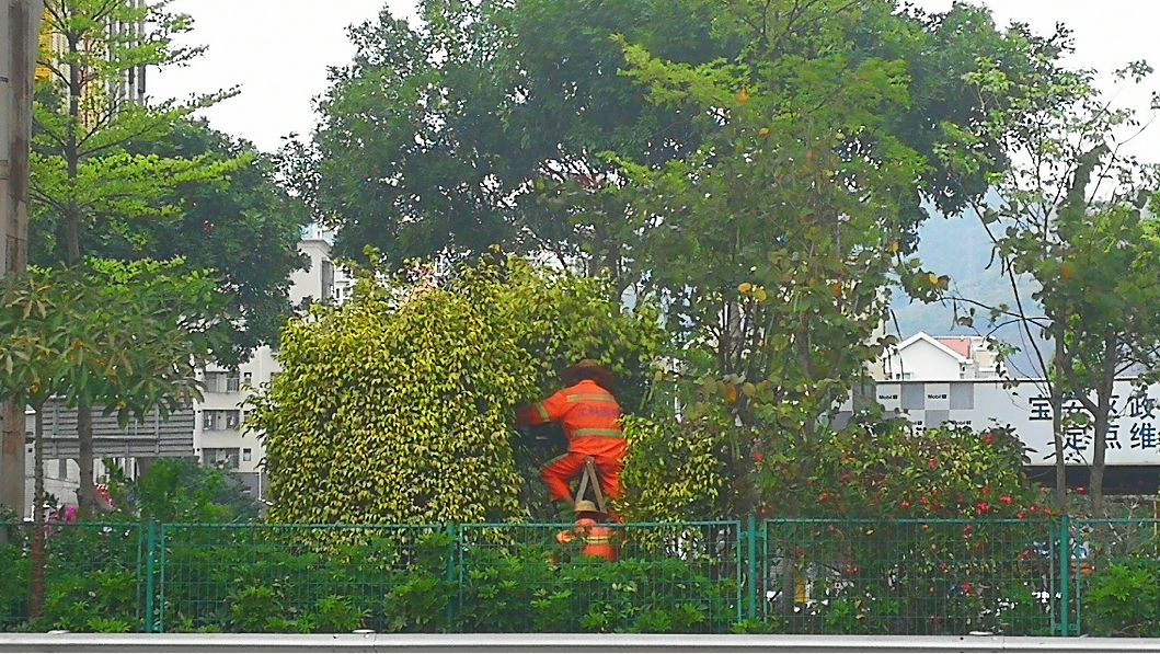 《來深建設者》作者：金仙森 手機隨拍.png
