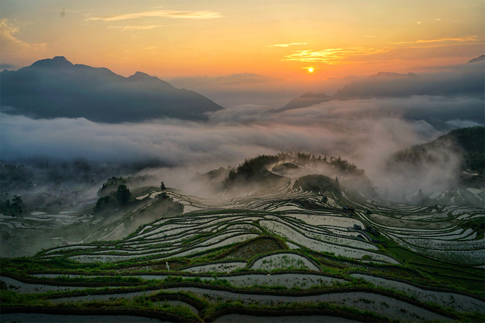 1532588102951150.jpg 《云和梯田晨景》作者:蘋果 副本.jpg