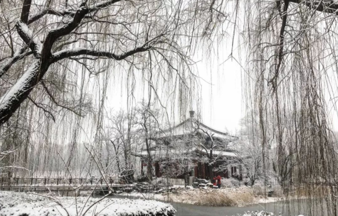 微信圖片_20191216112245.png