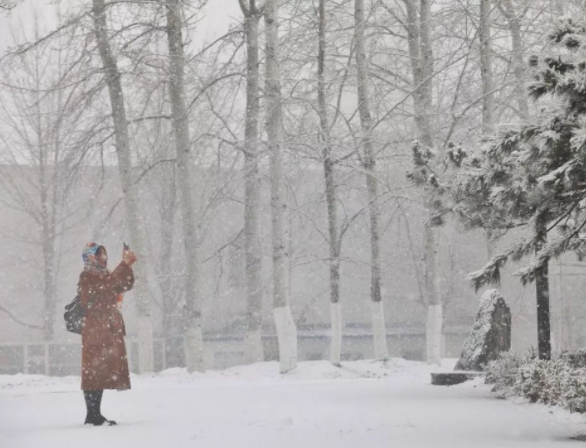 微信圖片_20191216112248.png